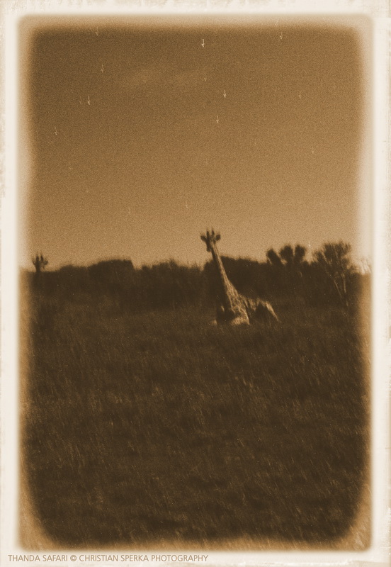 20160318 - CS3_9951 - E - 00_1