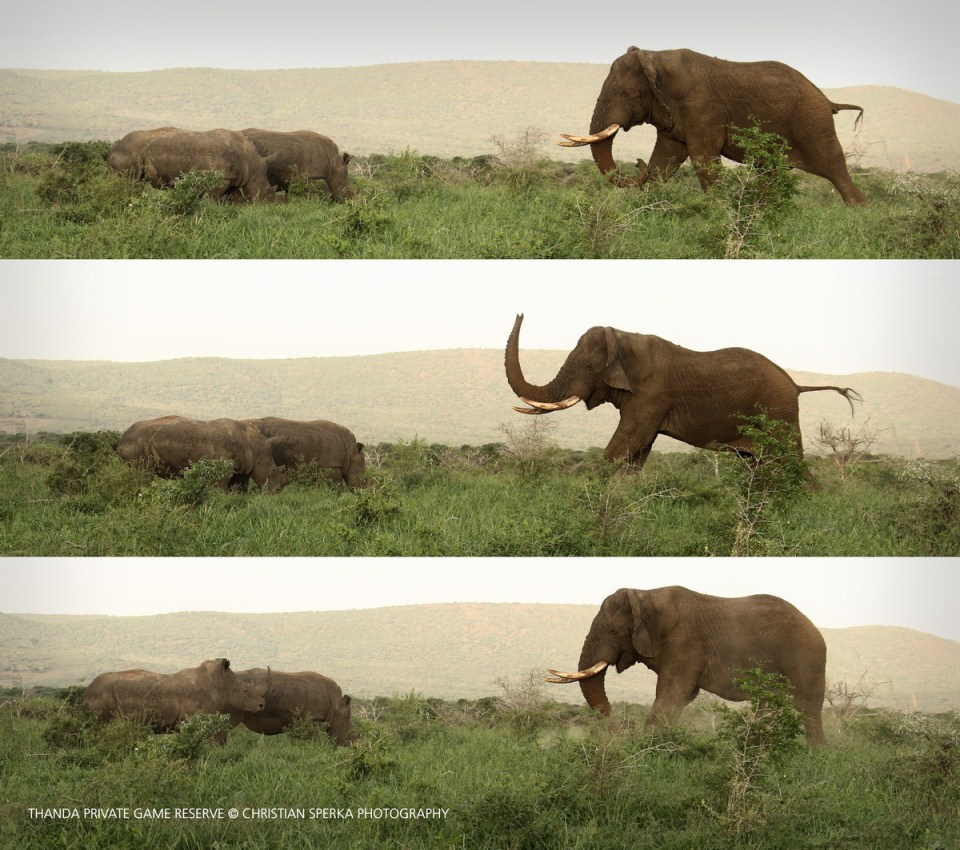 20160326 - CS3_1650 - C - 00