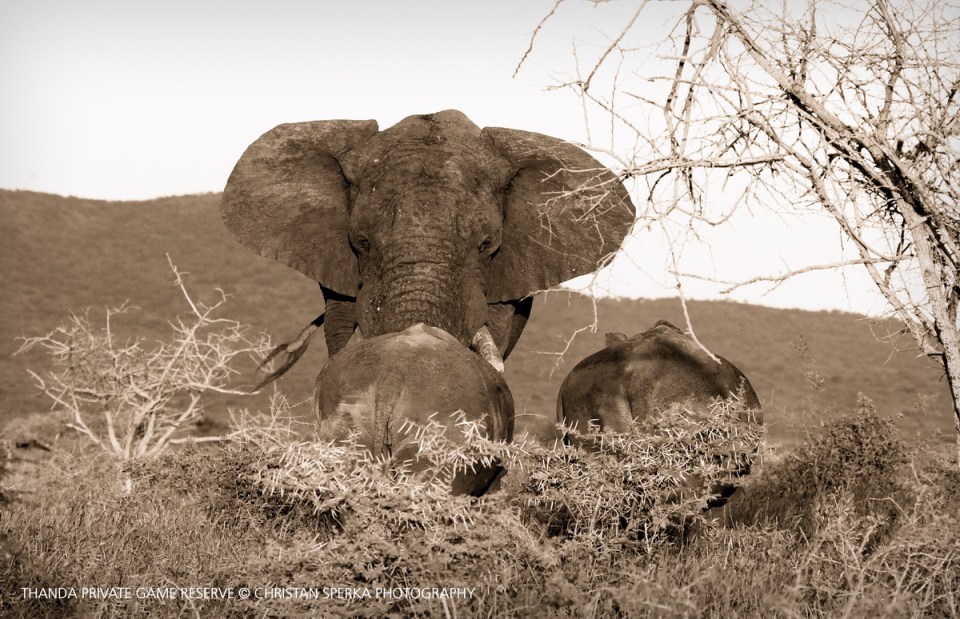 20160326 - CS3_1678 - C - 00