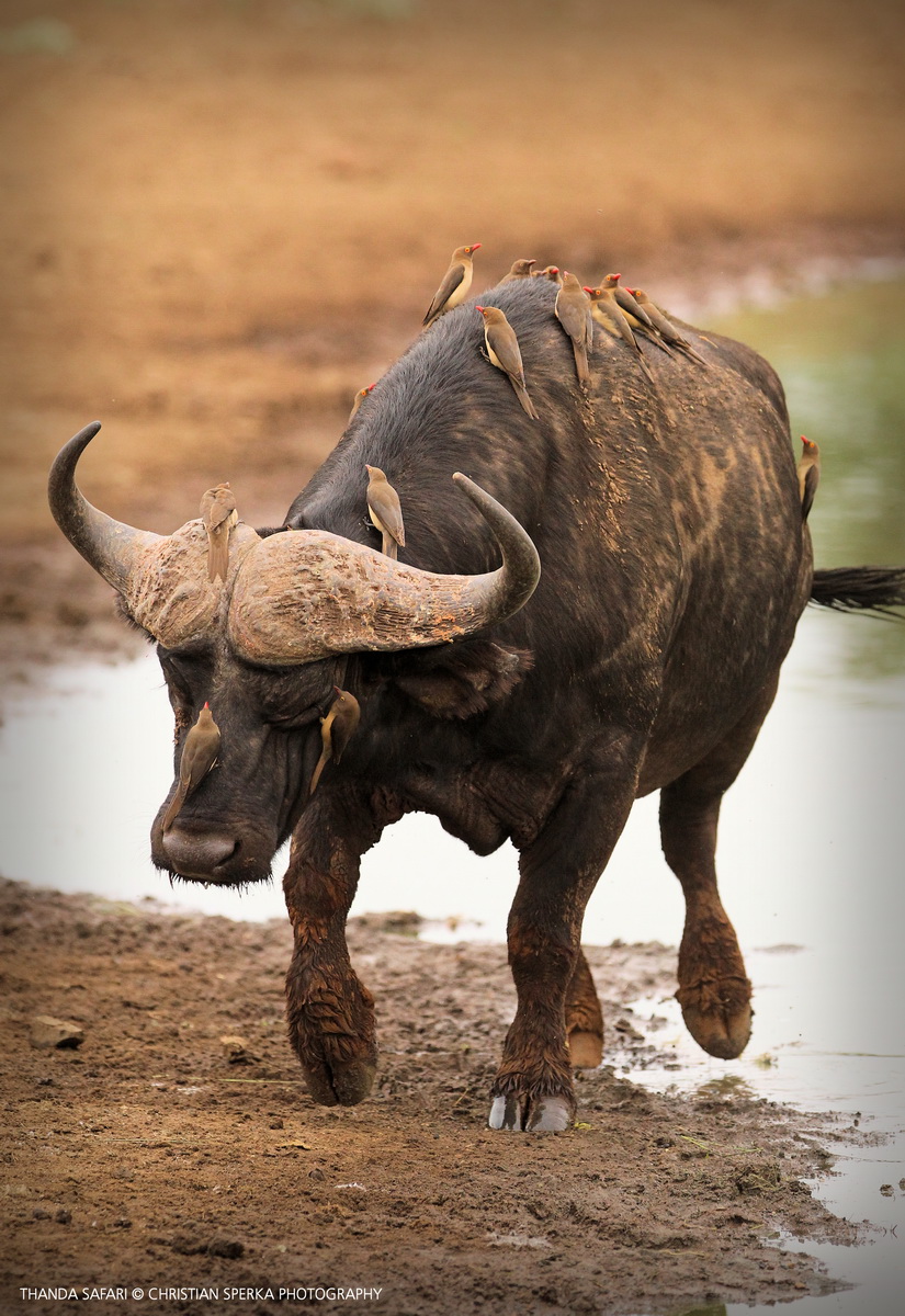 20160417 - CS1_9437 - E - 00