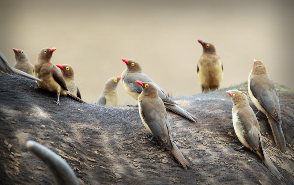 20160417 - CS2_4119 - E - 00