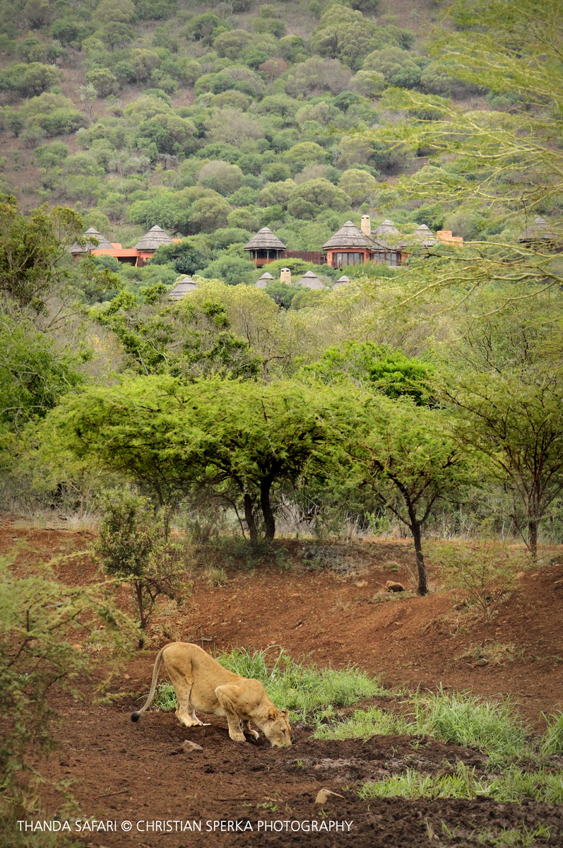 20160228 - CS3_8651 - E - 00