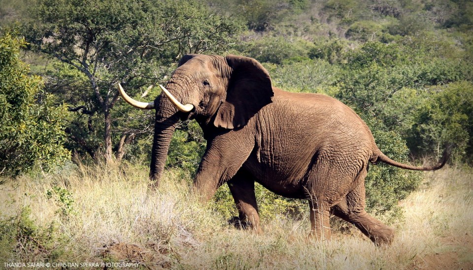 20160430 - CS3_8109 - E - 00