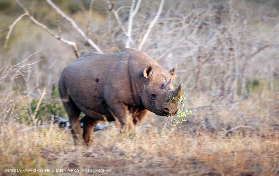 20160712 - CS2_2530 - E - 00