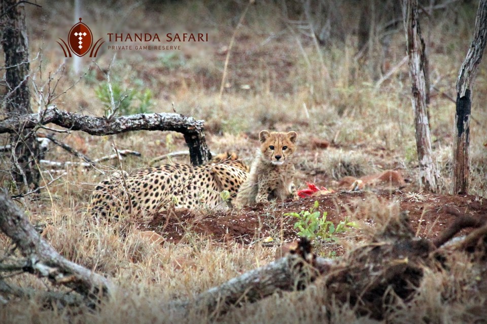 20160722 - CS1_3891 - E2 - 00