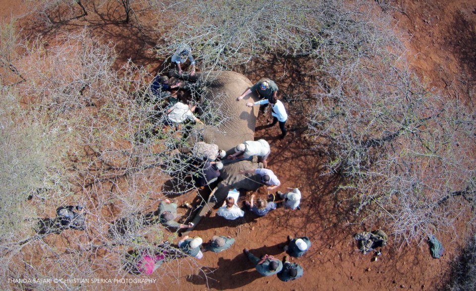 An aerial view taken from a drone
