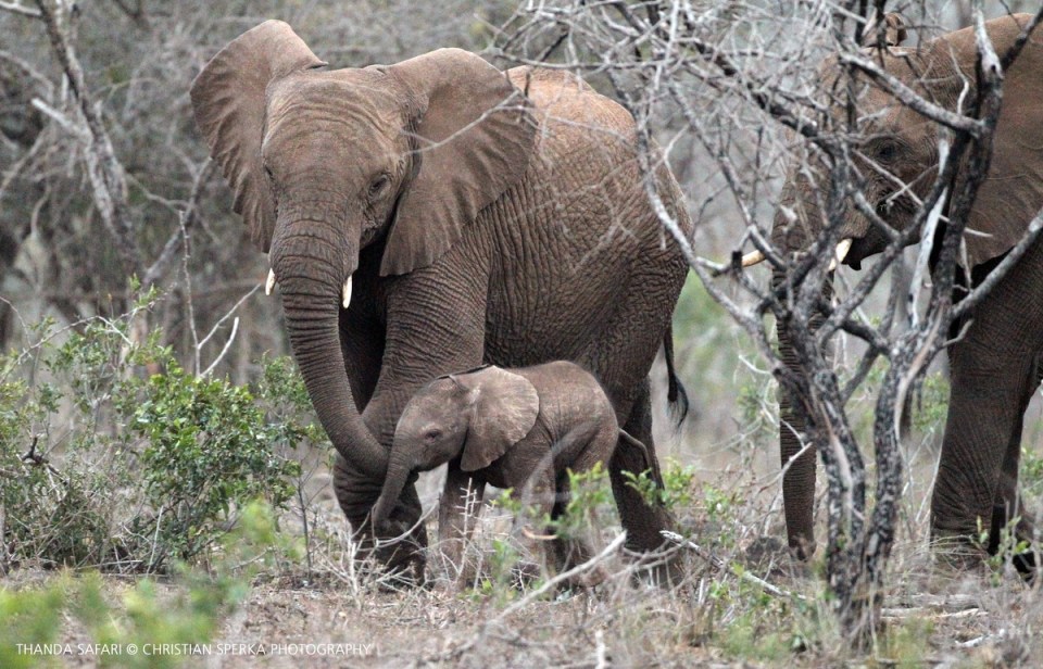 20160911-cs3_9005-e2-00