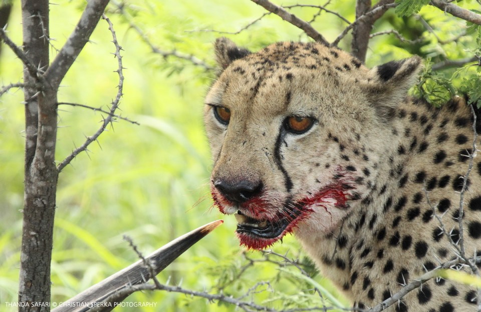 20161122-cs2_4799-e-00