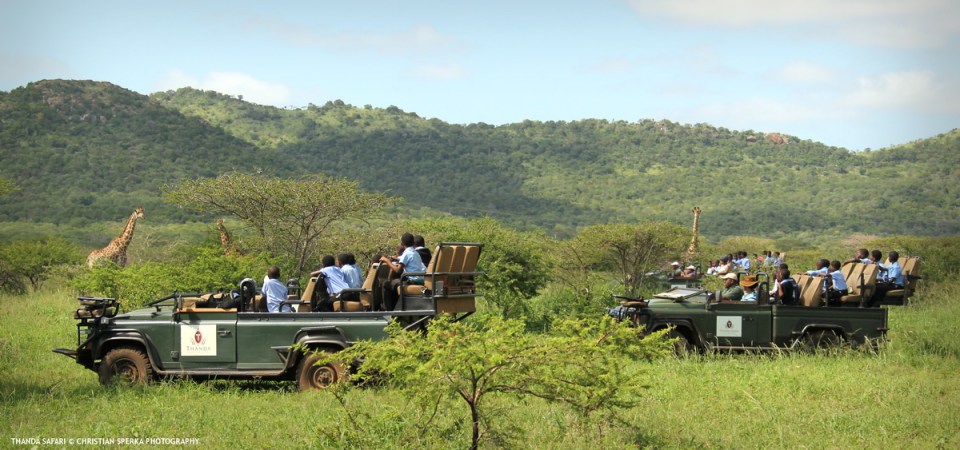 The first Giraffes on game drive ...