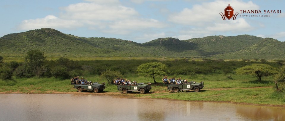 Enjoying the beautiful Thanda Safari scenery ...